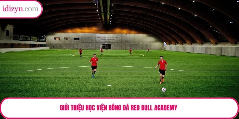 Giới thiệu học viện bóng đá Red Bull Academy