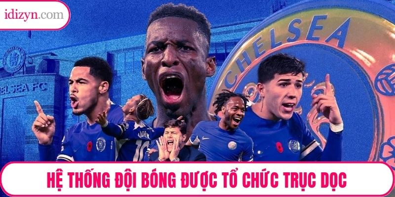 Hệ thống đội bóng được tổ chức trục dọc