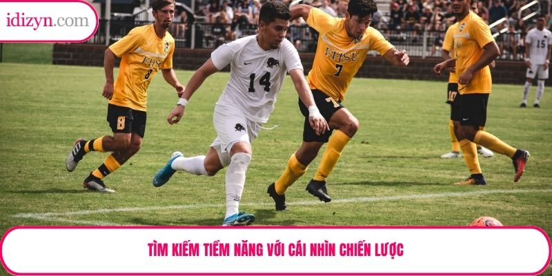 Tìm kiếm tiềm năng với cái nhìn chiến lược
