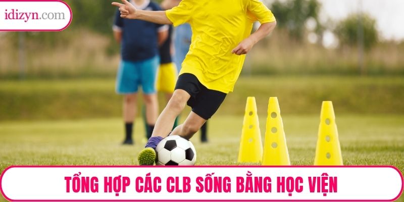 Tổng hợp các CLB sống bằng học viện